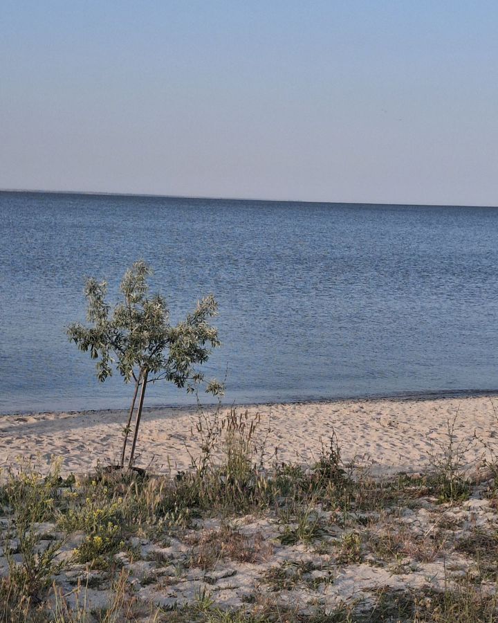 квартира р-н Ейский г Ейск ул Щорса 38/2 Ейское городское поселение фото 19