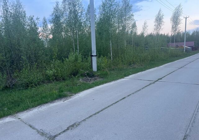 снт Астра ул Центральная Земляничная Тюменская обл. фото