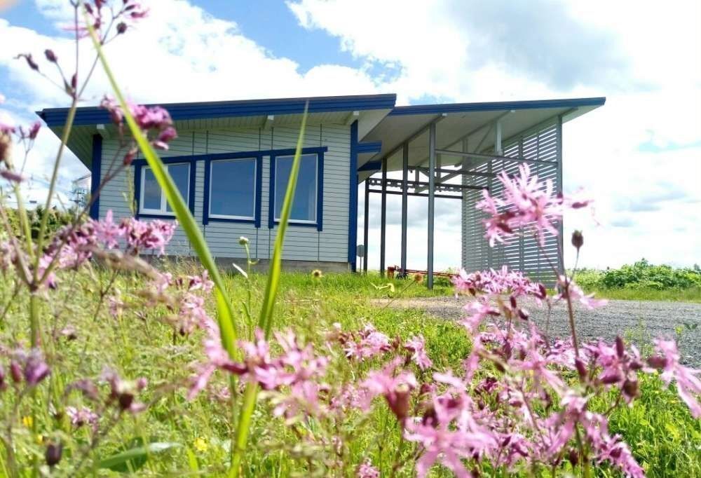 земля г Истра с Надеждино 61 км, городской округ Истра, Новопетровское, Волоколамское шоссе фото 1