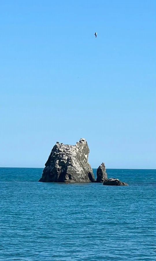 комната г Алушта п Утес ул Гагариной 25/33 фото 3