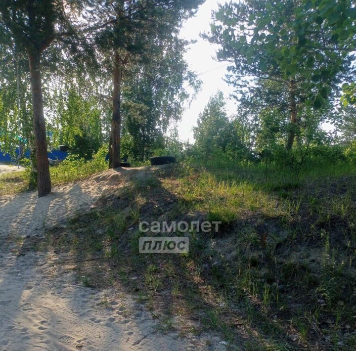 земля г Сургут п Таежный ул Пилотов Таёжный фото 5