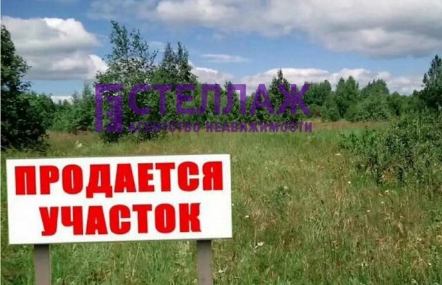 б-р Ореховый фото