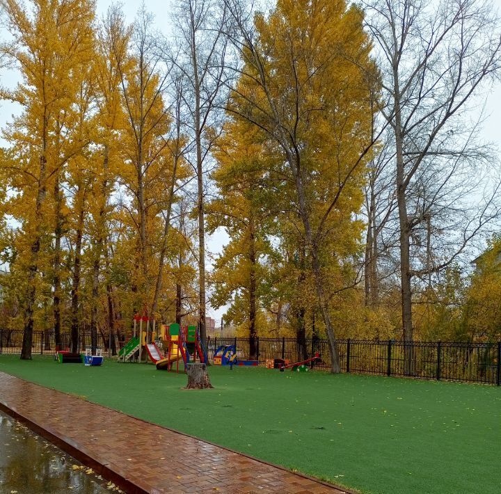 квартира г Омск р-н Центральный ул Багратиона 31 пос. Амурский фото 32
