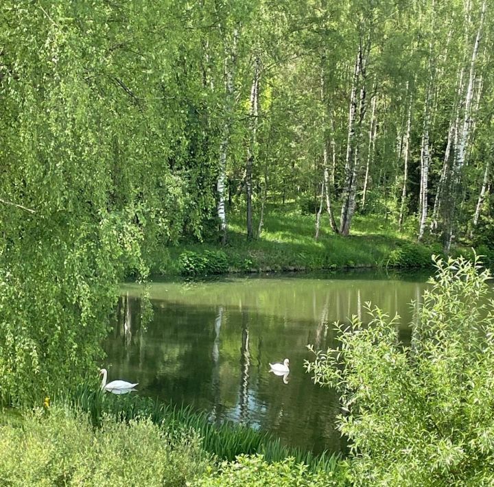 дом г Истра Княжье Озеро кп, ул. Князей Голицыных, Нахабино фото 9