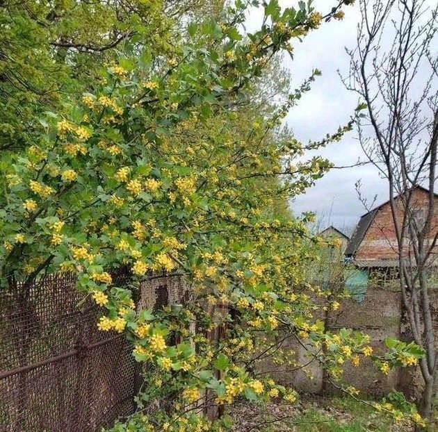 дом г Старый Оскол Родничок садовое товарищество фото 8
