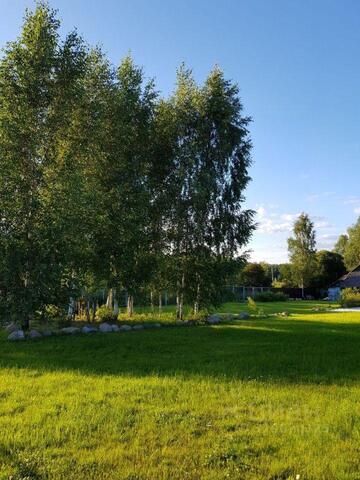 Домодедово, Центральная улица фото