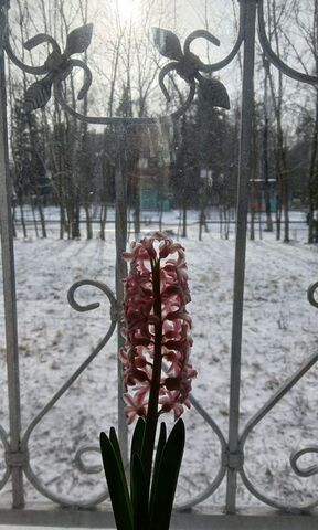 ул Смурякова 11 г. о. Пушкинский фото