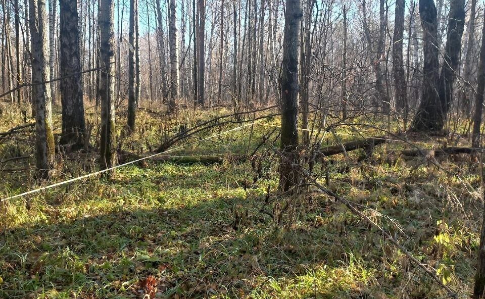 земля г Тобольск садоводческое товарищество Вымпел фото 1