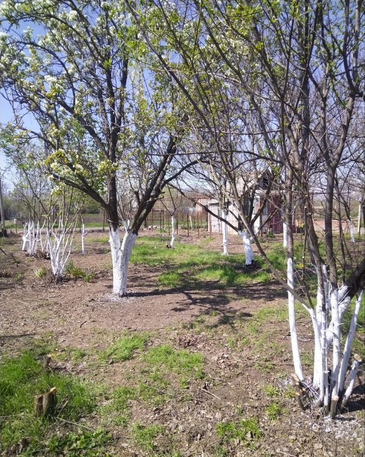 земля р-н Приморско-Ахтарский г Приморско-Ахтарск снт Дружба ул Цветочная 76 фото 2