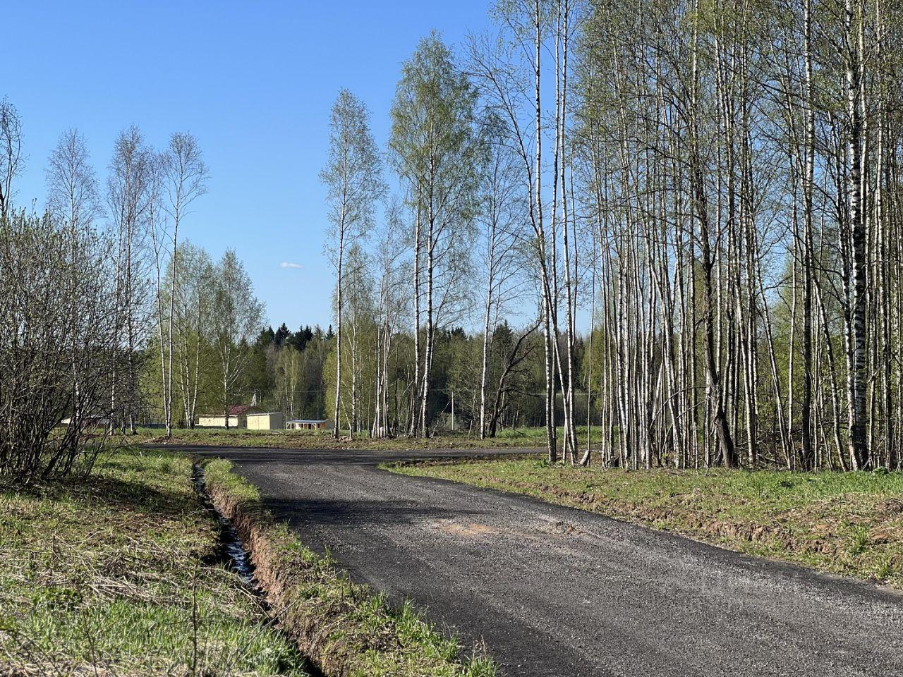 земля городской округ Сергиево-Посадский г Краснозаводск «Холмогоры» фото 7