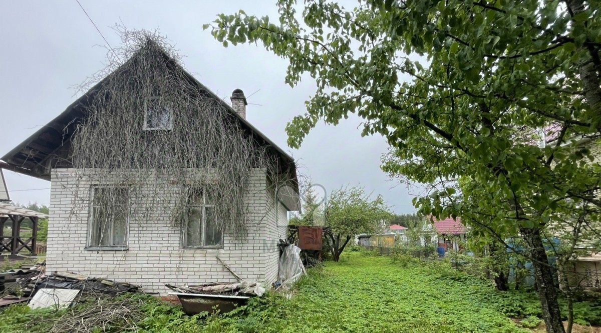 дом г Сосновый Бор фото 13