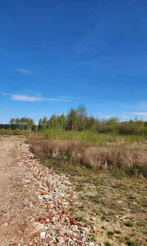 51 км, пос. ЛПХ Ольгино-2, Носовихинское шоссе фото