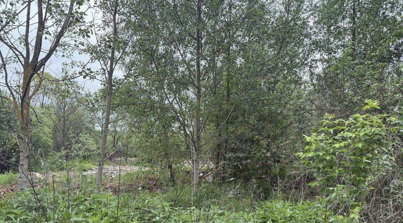 офис г Орехово-Зуево фото 2