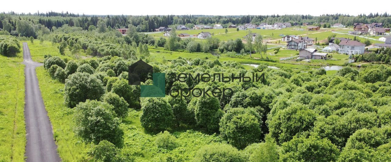 земля г Истра Березы кп фото 11