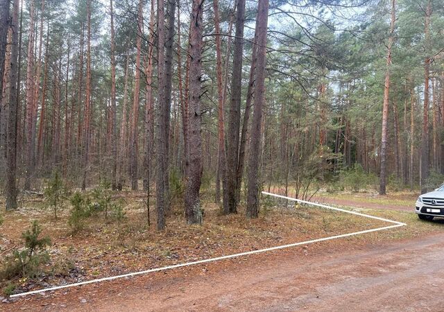 57 км, коттеджный пос. Новое Агарино, Михнево, Новокаширское шоссе фото