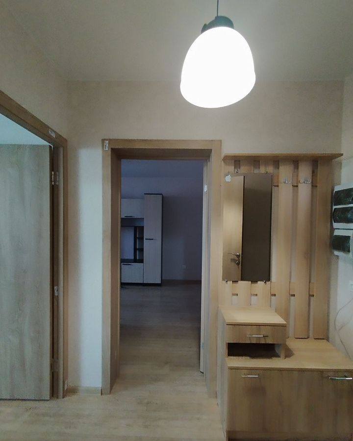 квартира г Воронеж р-н Железнодорожный ул Димитрова 51ак/1 фото 10
