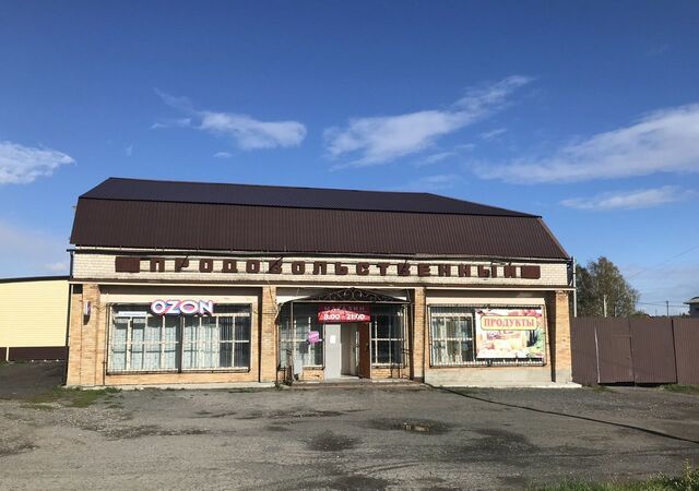 ул Челюскинцев 10а фото