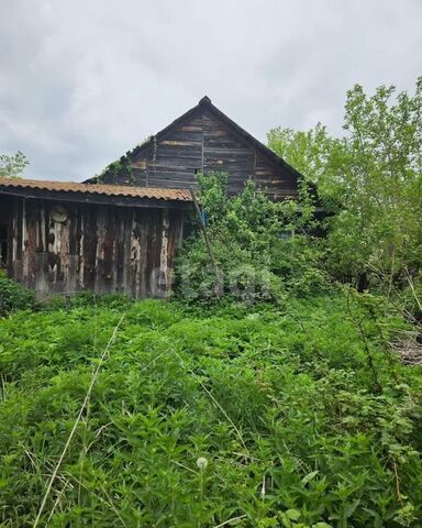 Щелкун фото