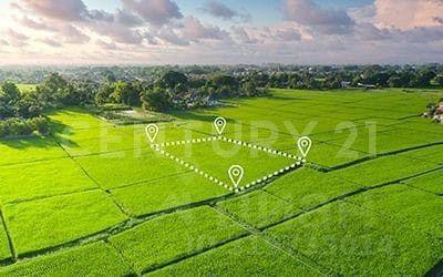 ст-ца Раевская ул Колхозная 128б фото