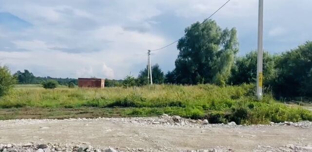 земля п Гусевка Светлогорск, Зеленоградский муниципальный округ фото