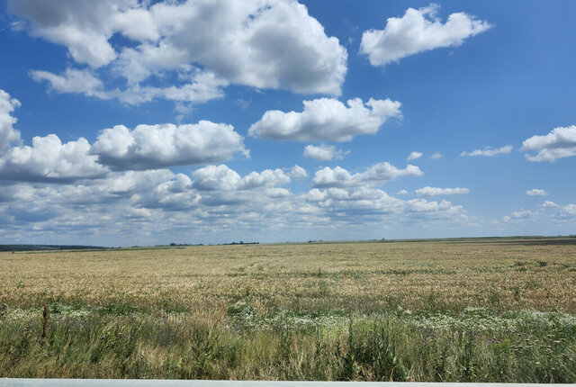 земля ул Соловьиная фото