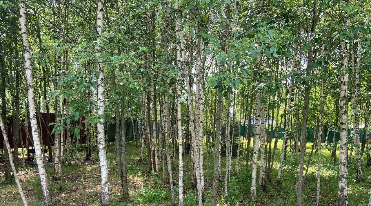 земля г Истра Землевладельцев Чаново-2 некоммерческое партнерство, 18 фото 8