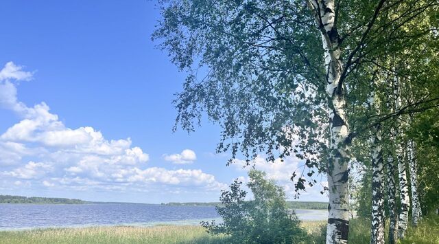 с пос фото с пос фото