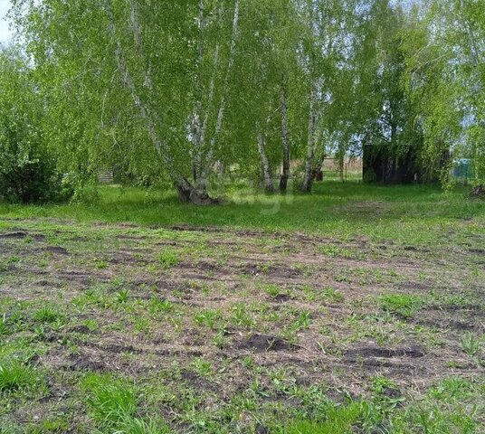 снт Росинка ул 15-я фото