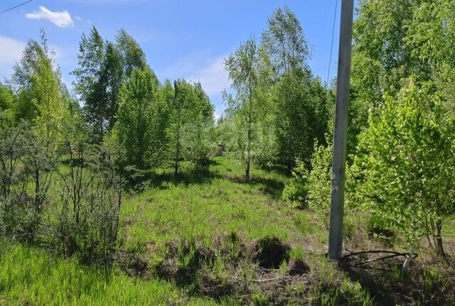 земля территория ДНТ Новониколаевский Посёлок, Лесная улица фото