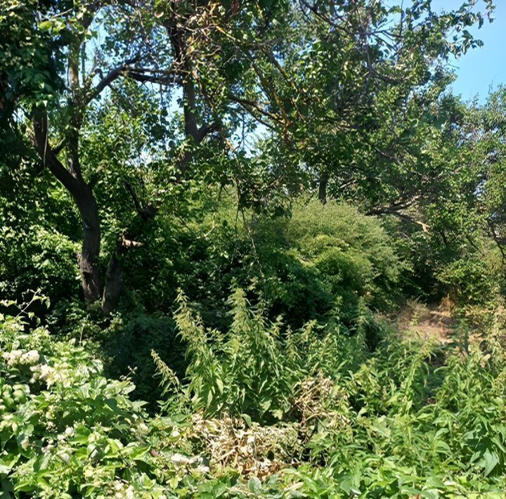 земля р-н Ейский г Ейск п Широчанка снт Дружба фото 7