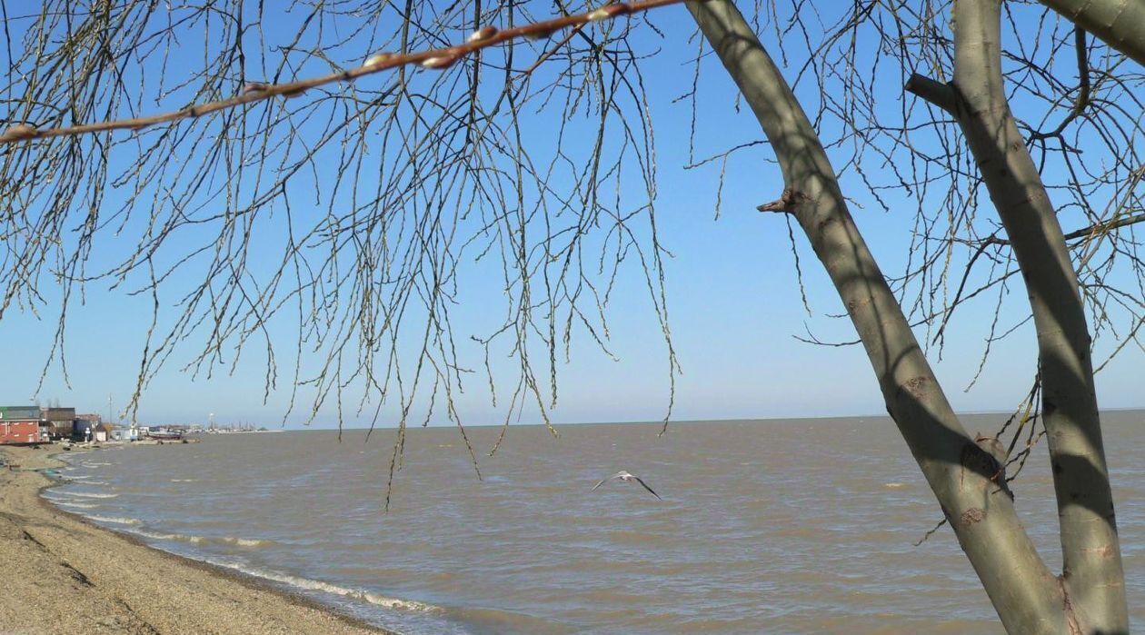 земля р-н Ейский г Ейск пер Береговой 3-ий фото 7
