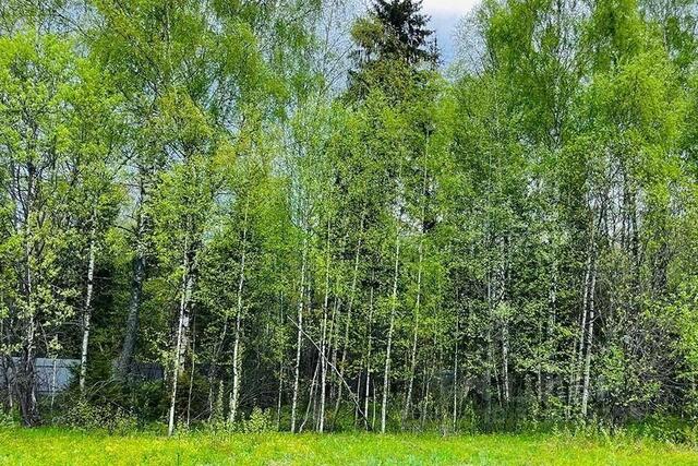 рп Икша малое кольцо», п Рязановское, «Московское фото