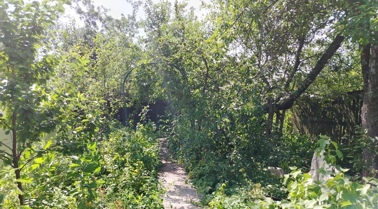 дом г Жуковский Ильинская, Поднятая целина СНТ фото 4