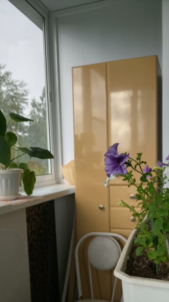 квартира г Кушва ул Кузьмина 8 фото 9