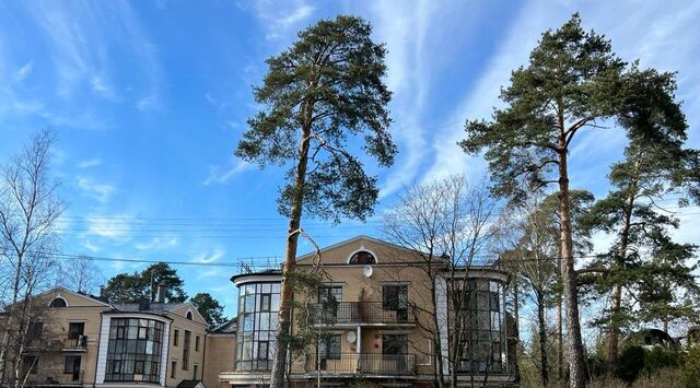г Сестрорецк ш Дубковское 28 Беговая фото