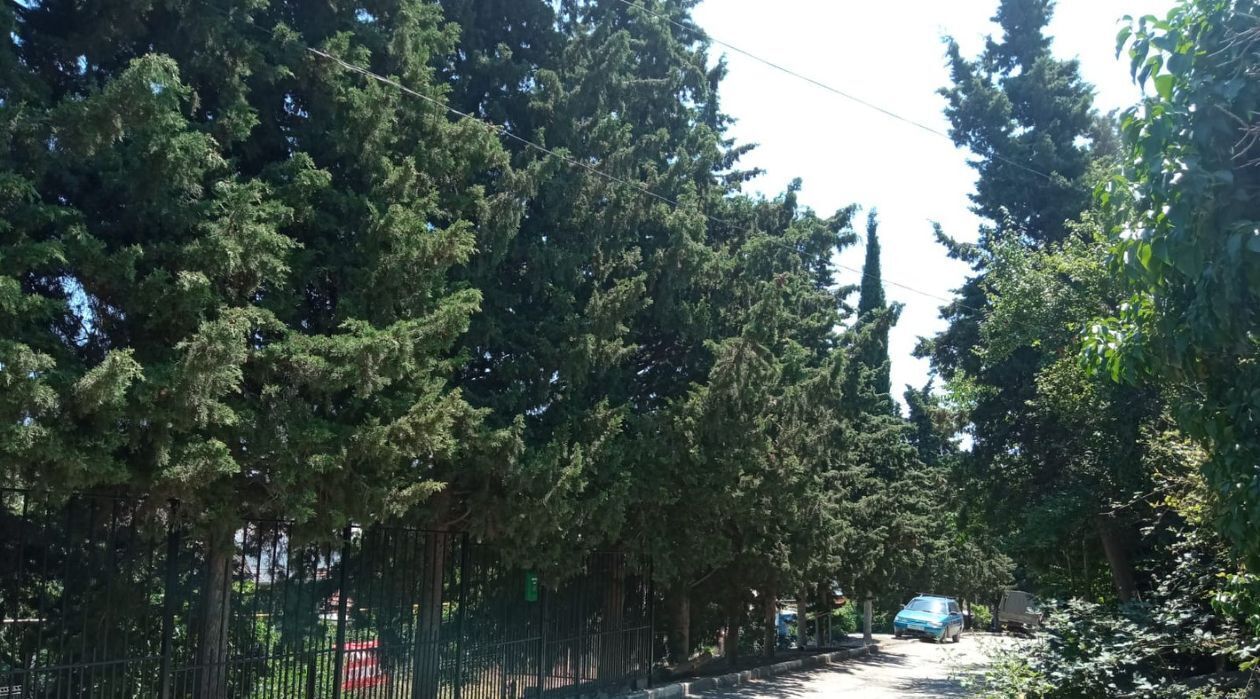 дом г Алушта ул Таврическая 25 фото 30