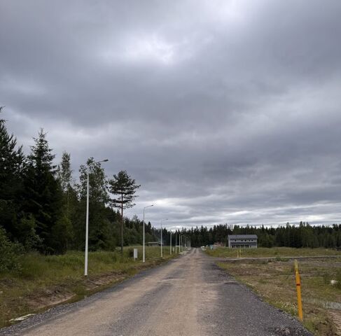 Раздольевское с/пос фото Раздольевское с/пос фото