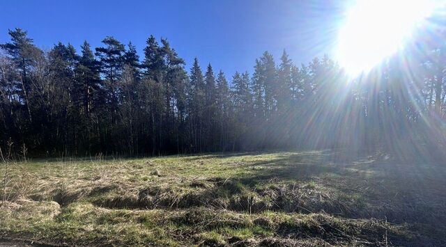пр-д 3-й Луговой Каменногорское городское поселение фото пр-д 3-й Луговой Каменногорское городское поселение фото