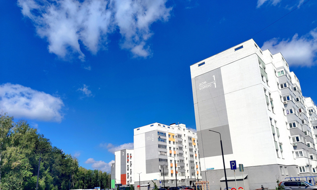 аллея, 2, д. Конёвка фото аллея, 2, д. Конёвка фото