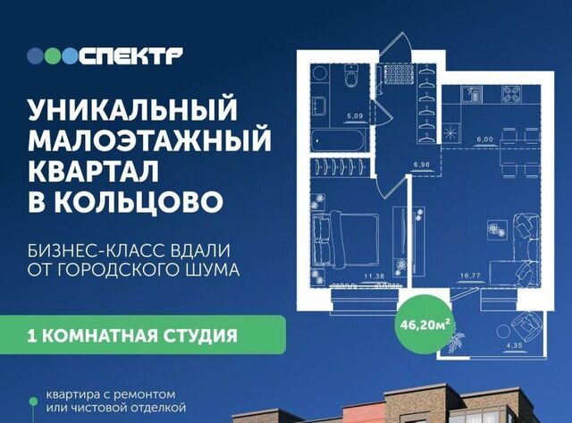 Золотая Нива фото Золотая Нива фото