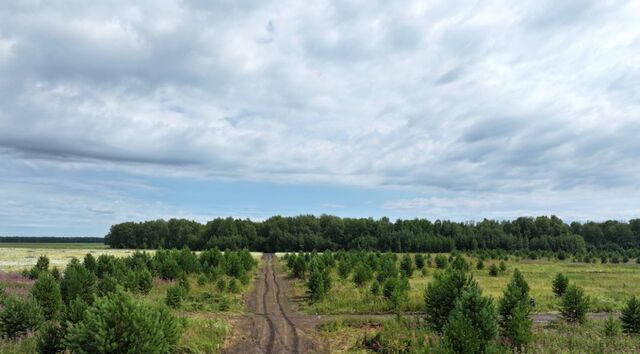 ул Сочинская фото ул Сочинская фото