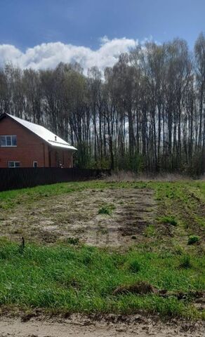 д Красный Бор фото д Красный Бор фото