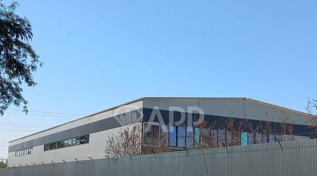 п Березовый р-н Прикубанский 31/4 фото п Березовый р-н Прикубанский 31/4 фото