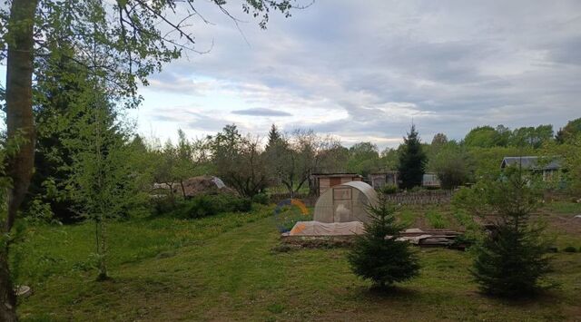 р-н Новгородский д Чечулино ул Центральная 153 Трубичинское с/пос фото р-н Новгородский д Чечулино ул Центральная 153 Трубичинское с/пос фото