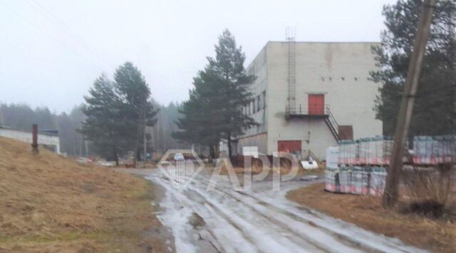 г Брянск рп Радица-Крыловка ул Лесная р-н Володарский фото г Брянск рп Радица-Крыловка ул Лесная р-н Володарский фото