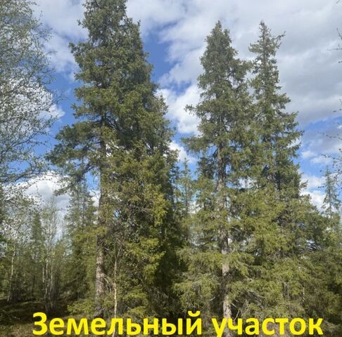 р-н Кольский пгт Молочный фото р-н Кольский пгт Молочный фото