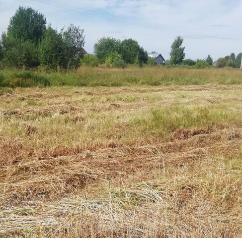 д Кузнецово сельское поселение Пригородное фото д Кузнецово сельское поселение Пригородное фото