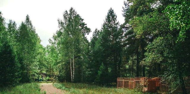 земля с Ямбирно М-5 Урал, 384-й км фото земля с Ямбирно М-5 Урал, 384-й км фото