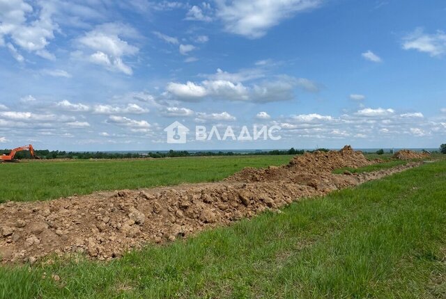 земля ул Никитинская фото