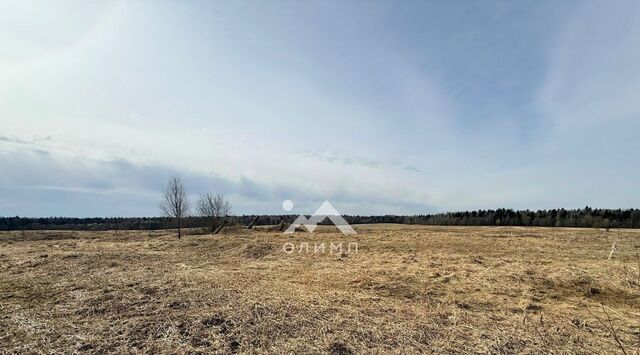 земля п Надеево ул Центральная фото земля п Надеево ул Центральная фото